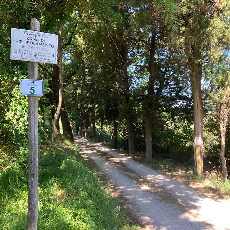 Le Giuncaie - Vigna con alloggio Villa Montescudaio Esterno foto