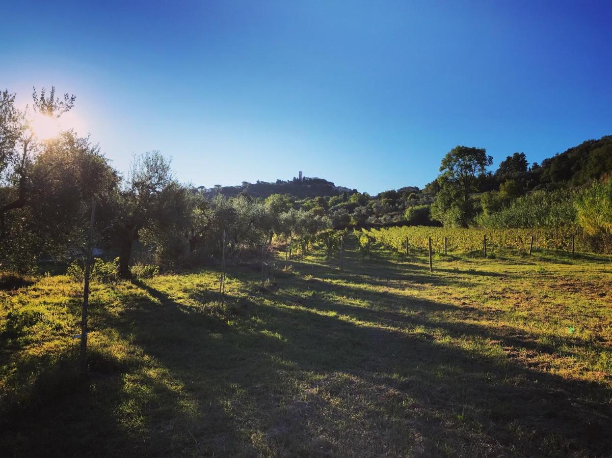 Le Giuncaie - Vigna con alloggio Villa Montescudaio Esterno foto