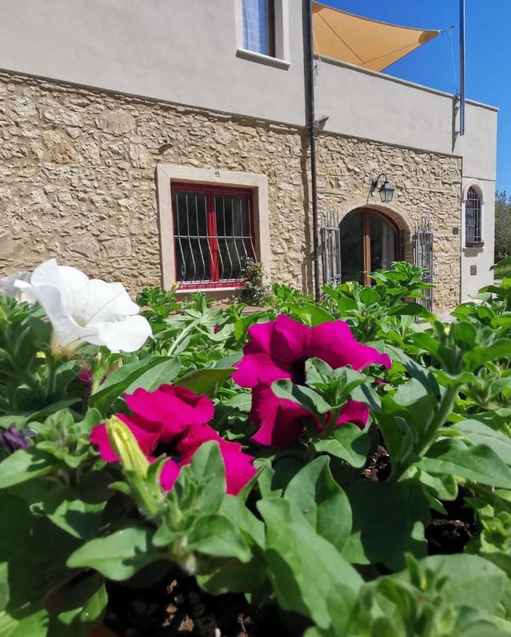 Le Giuncaie - Vigna con alloggio Villa Montescudaio Esterno foto