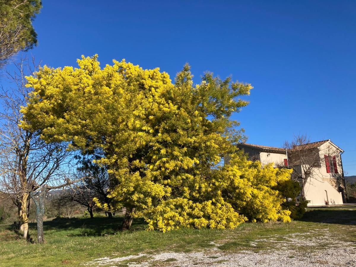 Le Giuncaie - Vigna con alloggio Villa Montescudaio Esterno foto