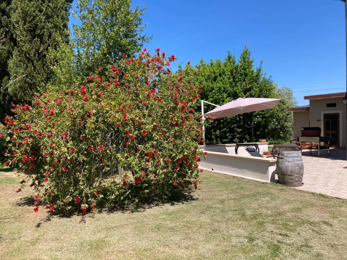 Le Giuncaie - Vigna con alloggio Villa Montescudaio Esterno foto