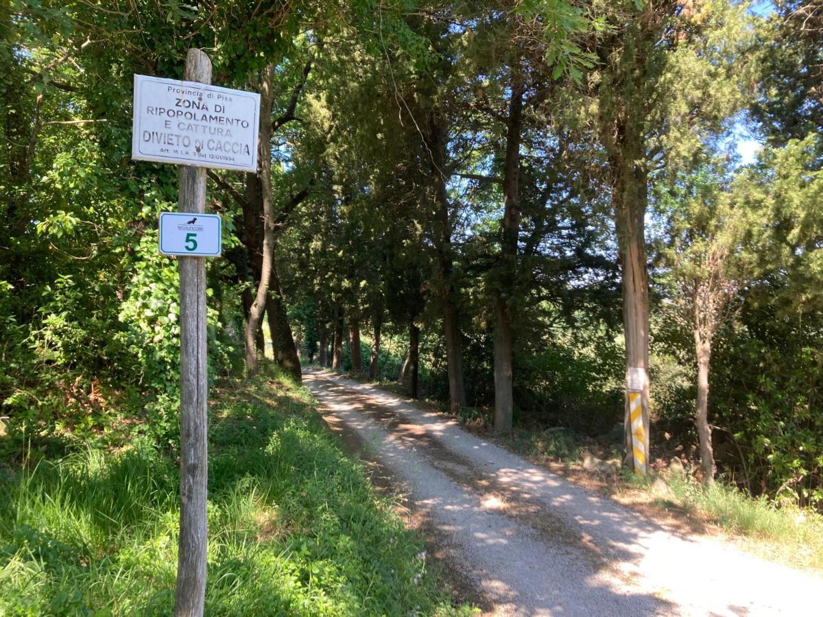 Le Giuncaie - Vigna con alloggio Villa Montescudaio Esterno foto