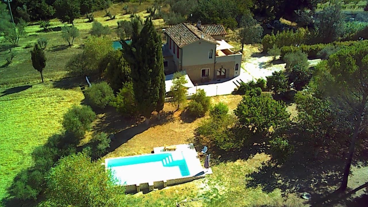 Le Giuncaie - Vigna con alloggio Villa Montescudaio Esterno foto